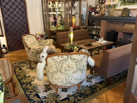 Inside 珈琲茶房 園田邸: antique chairs, a fireplace, a glass cabinet of dolls, and a stuffed dog sitting in a chair.